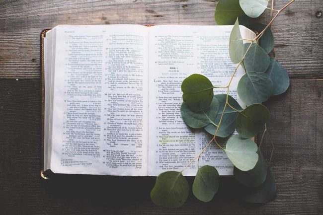 bible