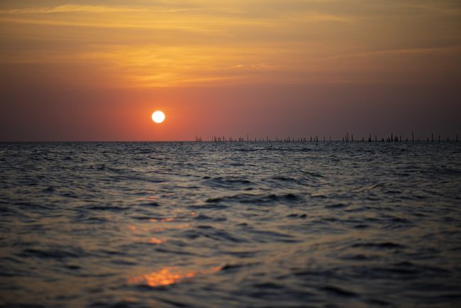 dawn