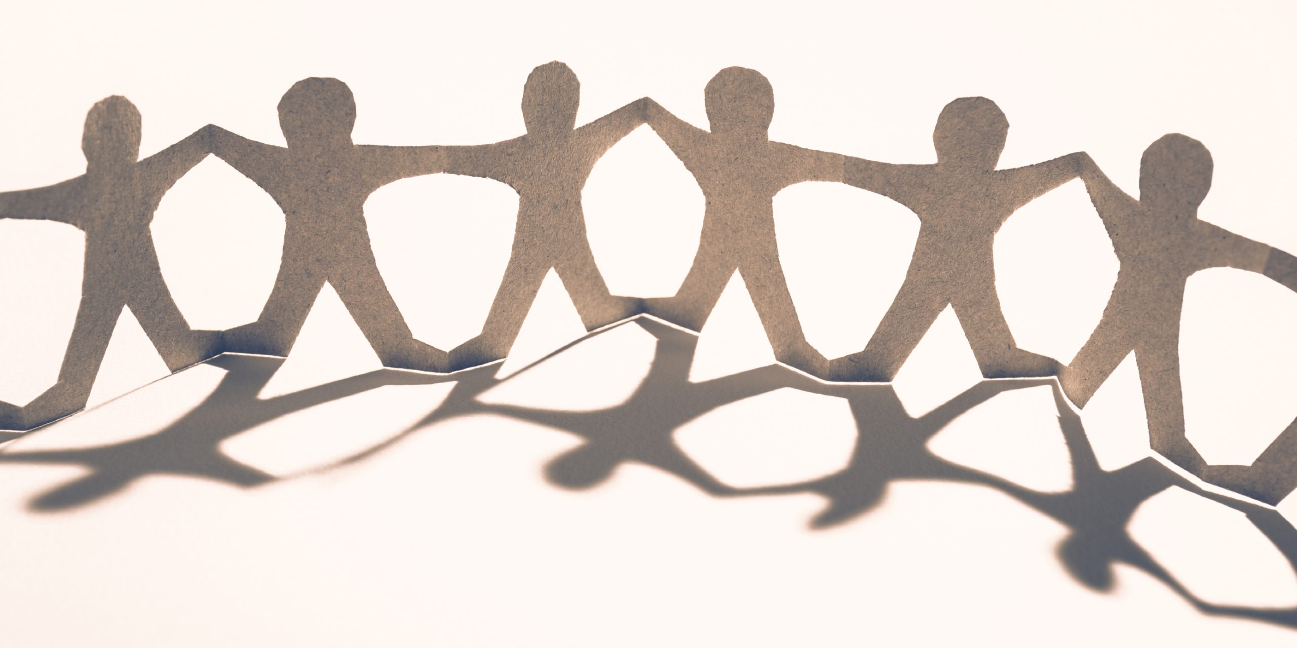 DSM HOMEPAGE-20230224