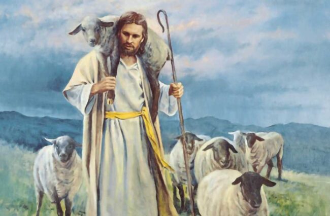 lamb